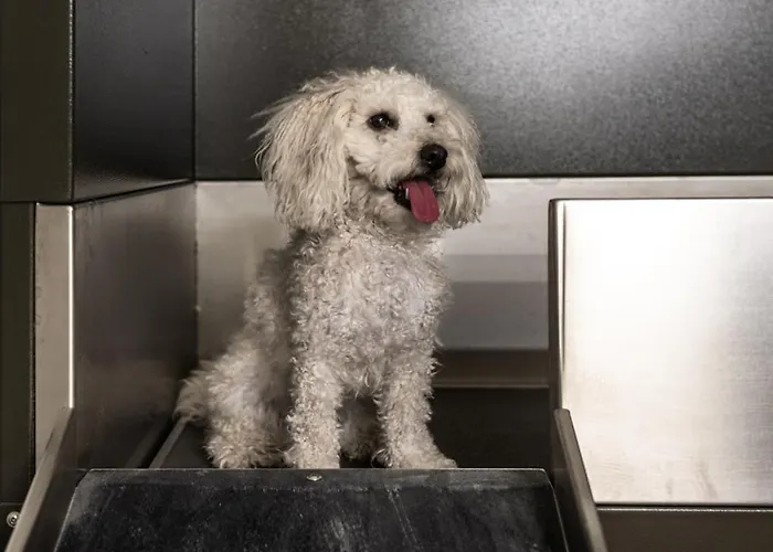 Apartamento Oceanview Auf Sylt *